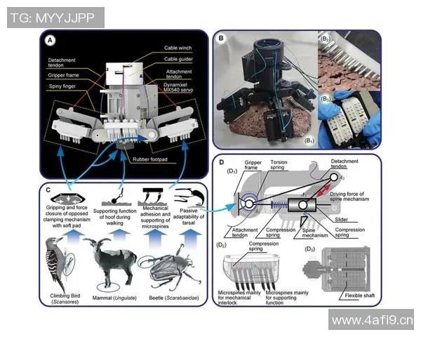 深圳攀岩队战术分析：防反打法的技巧与应用探讨